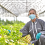 Cei Formación Online_Curso prevención de riesgos laborales específicos para el sector agricultura