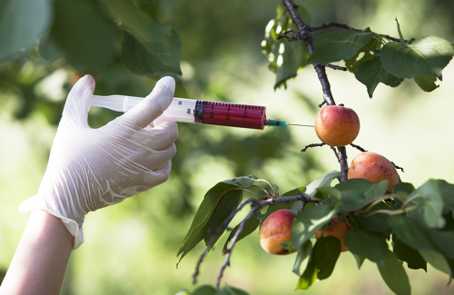 Cei Formación Online_Curso manipulación en crudo y conservación de alimentos