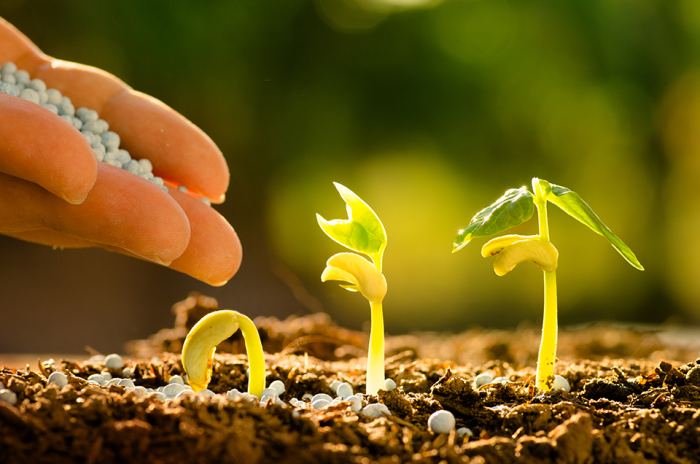 Cei Formación Online_Curso experto en gestión medioambiental