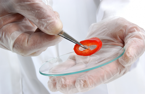 Cei Formación Online_Curso manipulación en crudo y conservación de alimentos