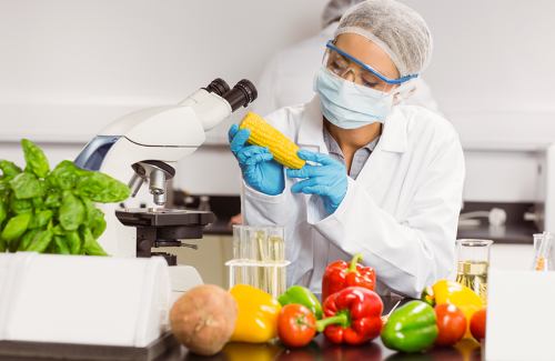 Cei Formación Online_Curso trazabilidad y seguridad alimentaria
