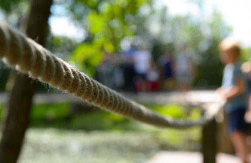 Cei Formación Online_Curso coordinación y dinamización del equipo de monitores de tiempo libre