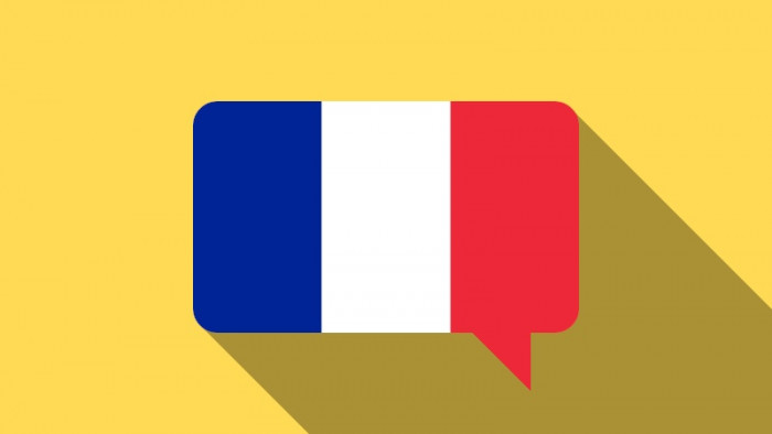Cei Formación Online_módulos francés